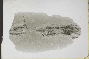 Plane Polarized, S25789