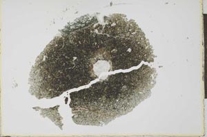 Plane Polarized, S25799