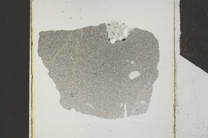 Plane Polarized, S25811