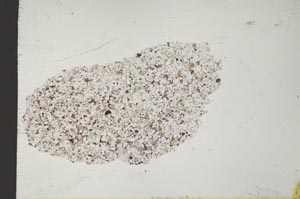 Plane Polarized, S25814