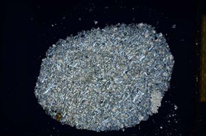 Cross Polarized, S25838