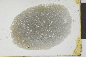 Plane Polarized, S25839