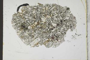 Plane Polarized, S25843