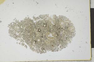 Plane Polarized, S25856