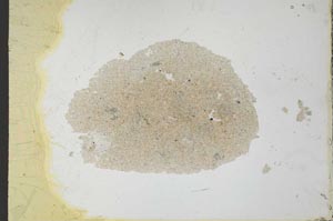 Plane Polarized, S25868