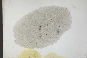 Plane Polarized, S25869