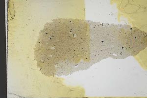 Plane Polarized, S25876
