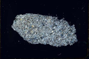 Cross Polarized, S25878