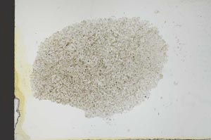 Plane Polarized, S25888