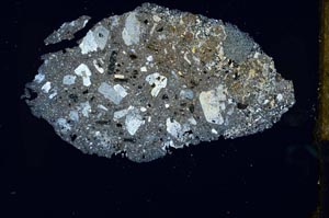 Cross Polarized, S25894