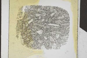 Plane Polarized, S25905