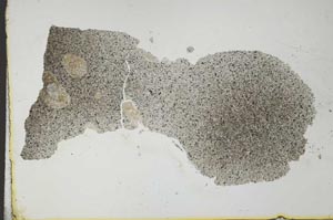 Plane Polarized, S25908