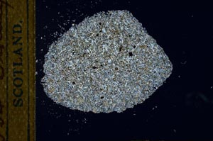 Cross Polarized, S25911