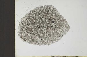 Plane Polarized, S25911