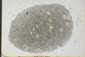 Plane Polarized, S25916