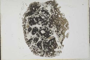 Plane Polarized, S25932