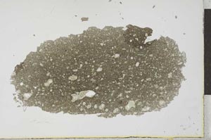 Plane Polarized, S25937