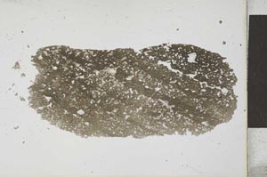 Plane Polarized, S25939