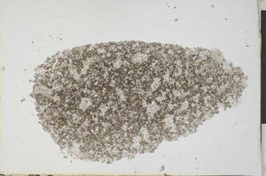 Plane Polarized, S25951