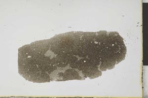 Plane Polarized, S25964