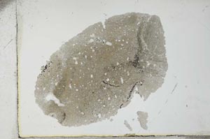 Plane Polarized, S25966