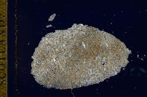 Cross Polarized, S25967