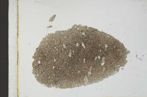 Plane Polarized, S25967