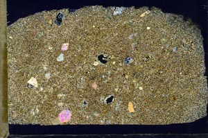 Cross Polarized, S25967/A