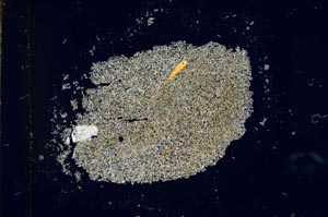 Cross Polarized, S25969