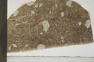 Plane Polarized, S25969/A