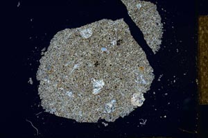 Cross Polarized, S25971