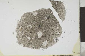 Plane Polarized, S25971