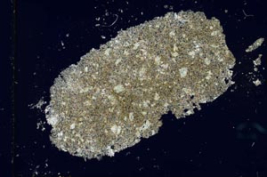 Cross Polarized, S25972