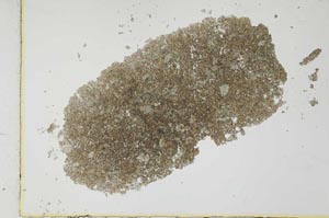 Plane Polarized, S25972