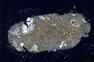 Cross Polarized, S25979