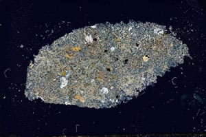 Cross Polarized, S25980