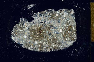 Cross Polarized, S25981