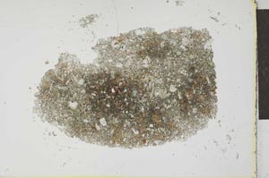 Plane Polarized, S25981