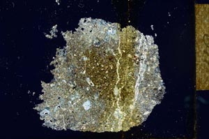 Cross Polarized, S25982