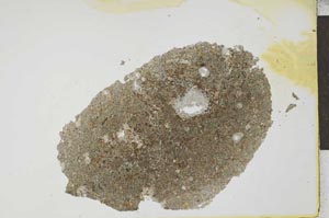 Plane Polarized, S25983