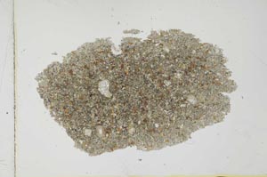 Plane Polarized, S25984