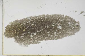 Plane Polarized, S25985