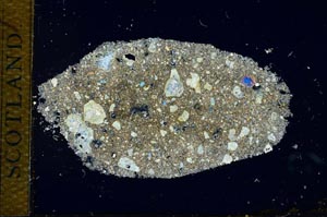 Cross Polarized, S25991