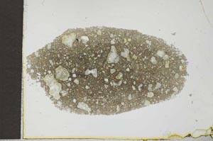 Plane Polarized, S25991