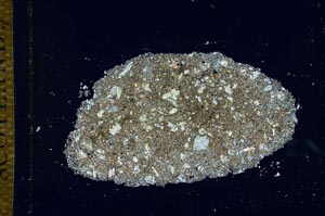 Cross Polarized, S25993