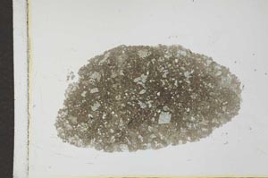 Plane Polarized, S25993