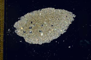 Cross Polarized, S25995