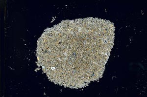 Cross Polarized, S25998