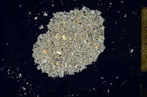 Cross Polarized, S25999