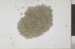 Plane Polarized, S25999